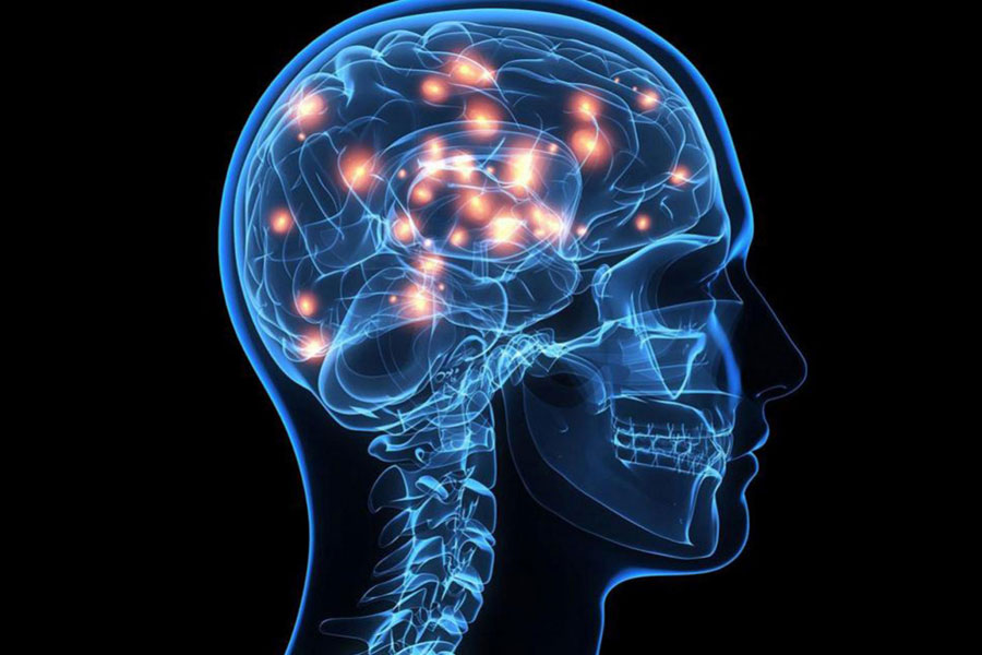 Laboris dolorem ulla